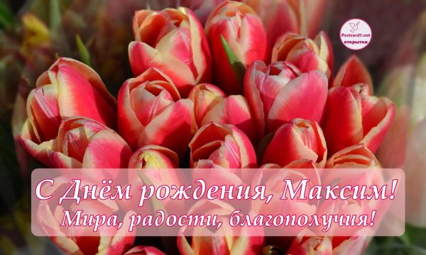 открытки с днём рождения максиму красивые