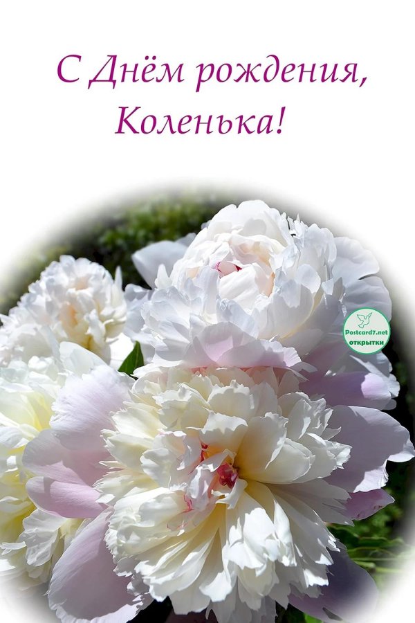 с днем рождения пион