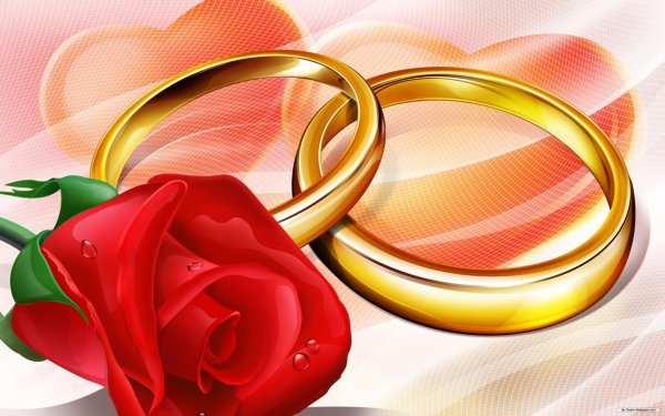 день работника загс