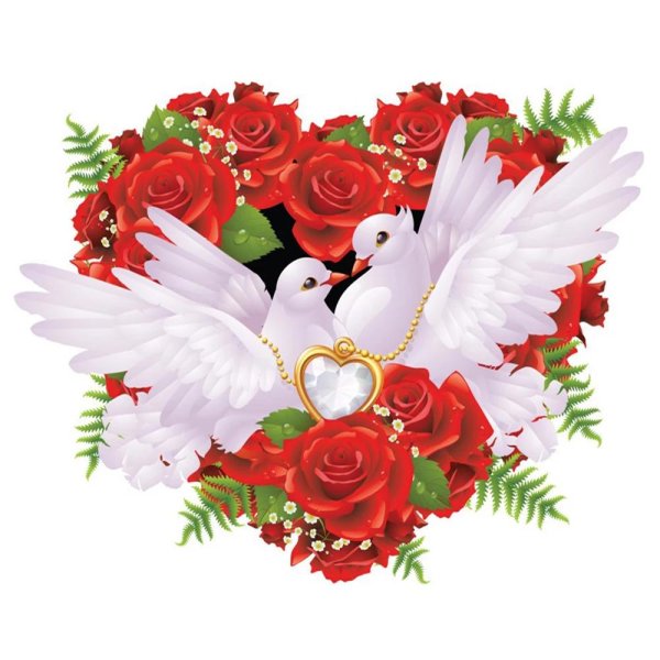 любовь голуби