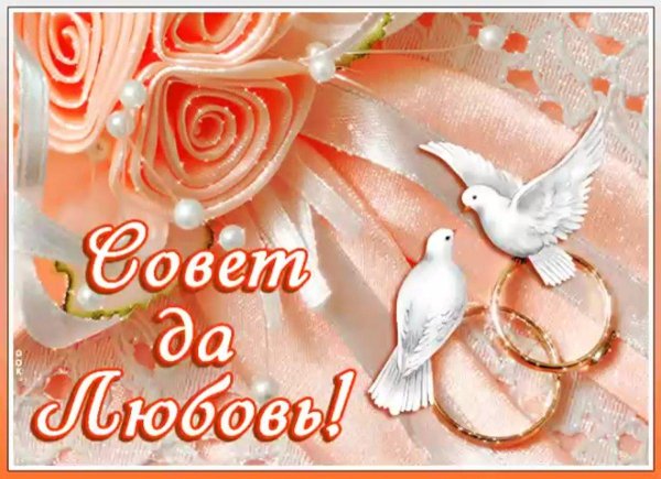 совет да любовь