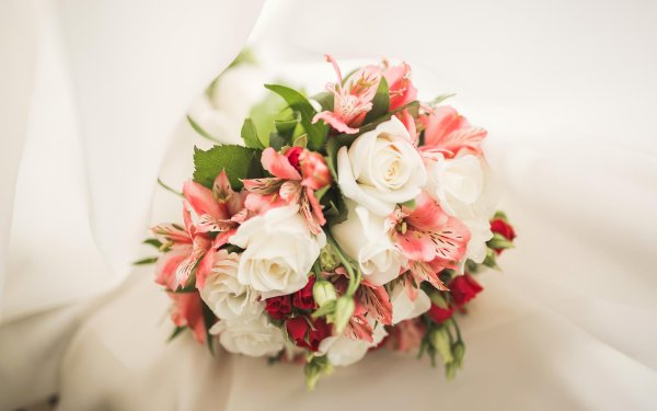 букет альстромерии