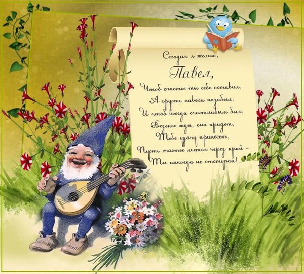 красивый гном