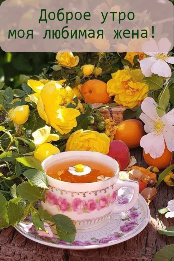 доброго утра любимая жена