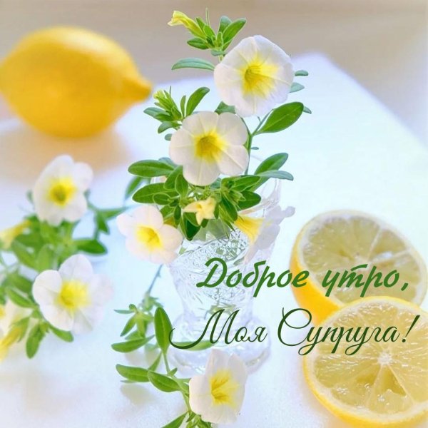 открытки с добрым