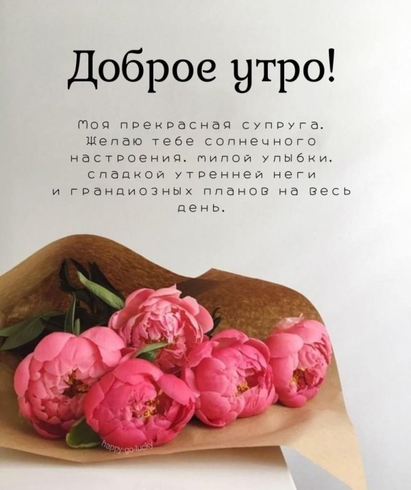 доброго утра любимая