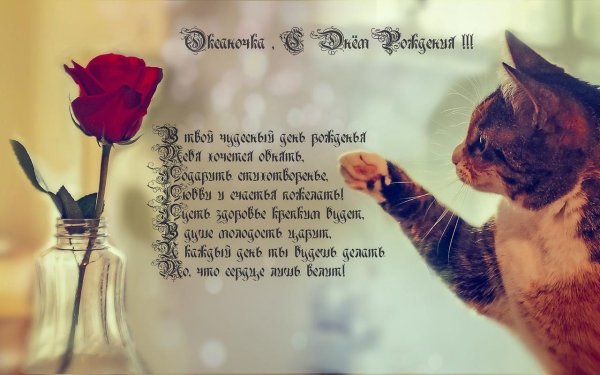 с днём рождения оксаночка