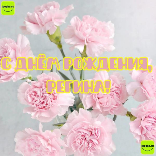 гвоздика диантус розовая