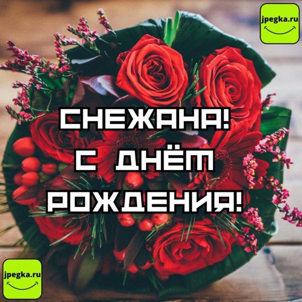 поздравление с днём рождения снежана