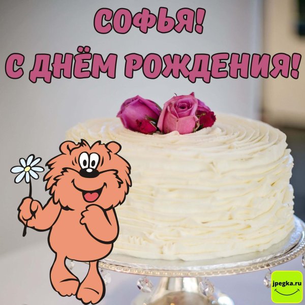 с днем рождения софии