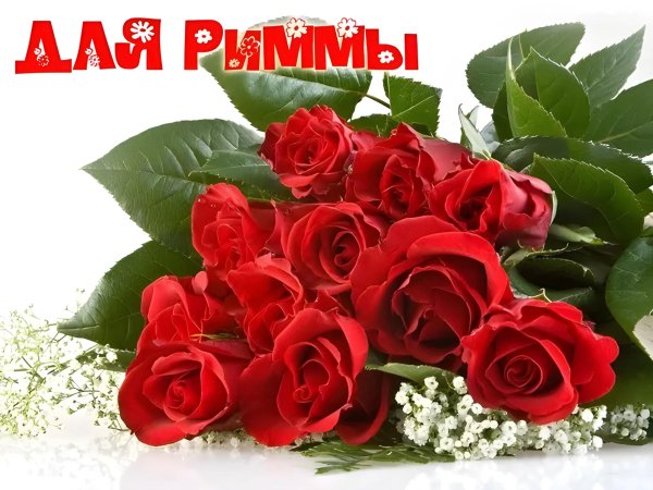 цветы для риммы