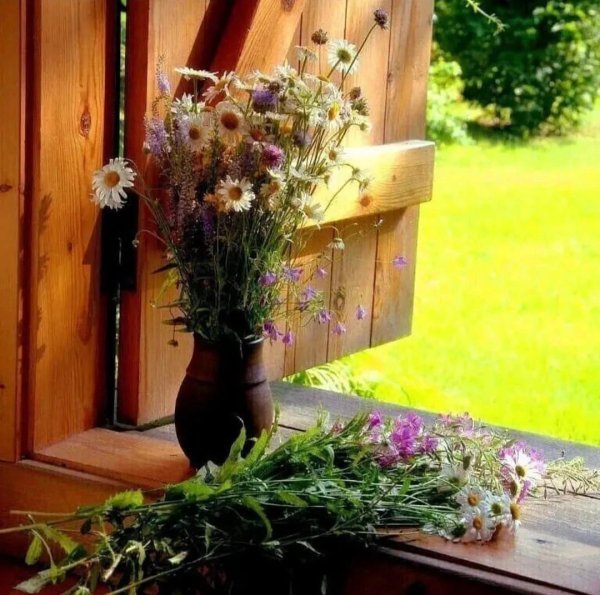 полевые цветы на окне