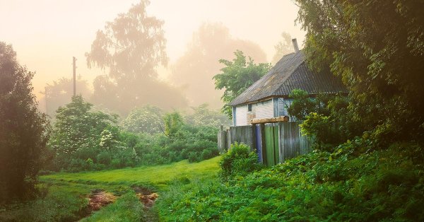 деревня лето