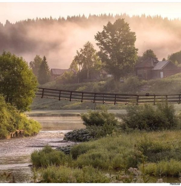 вепсский лес тихвин