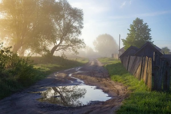 деревенское утро