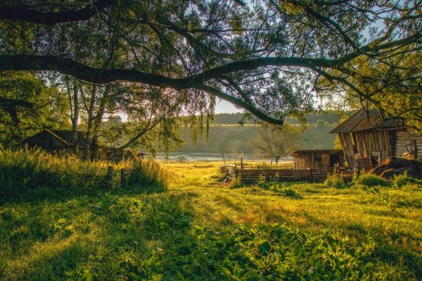 деревня речка вышневолоцкий район