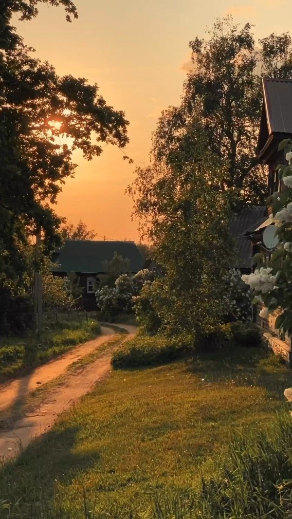 красивые деревенские пейзажи