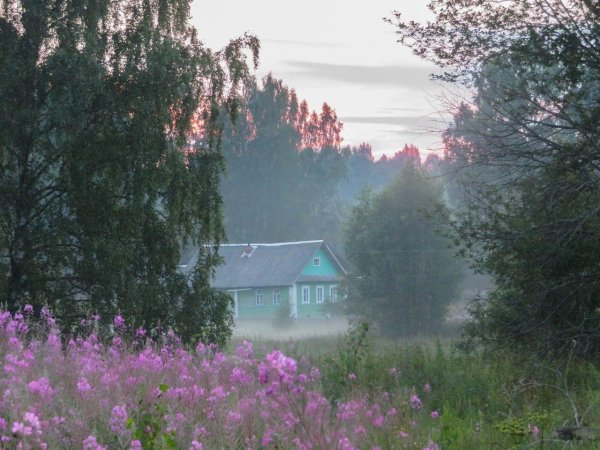 художник палачев вячеслав николаевич