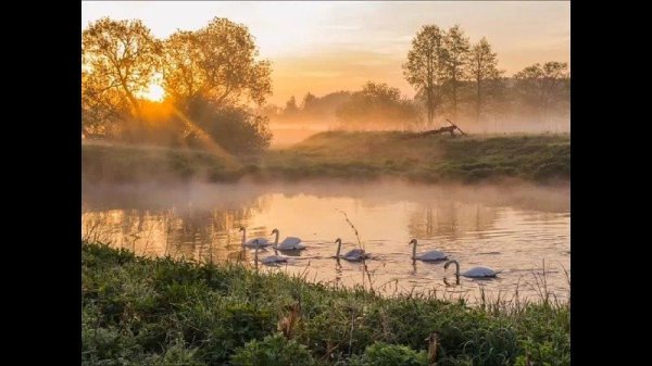 озеро лебедь