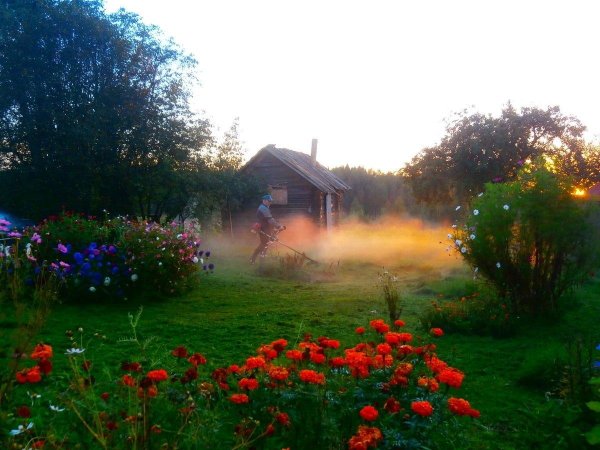 лето деревня