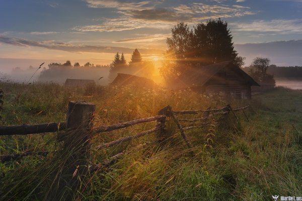 деревенское утро