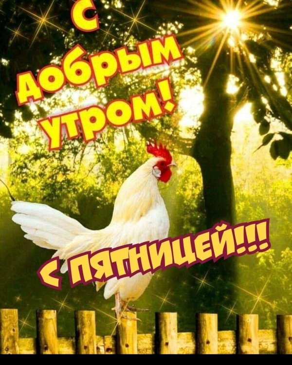 Доброе утро деревня