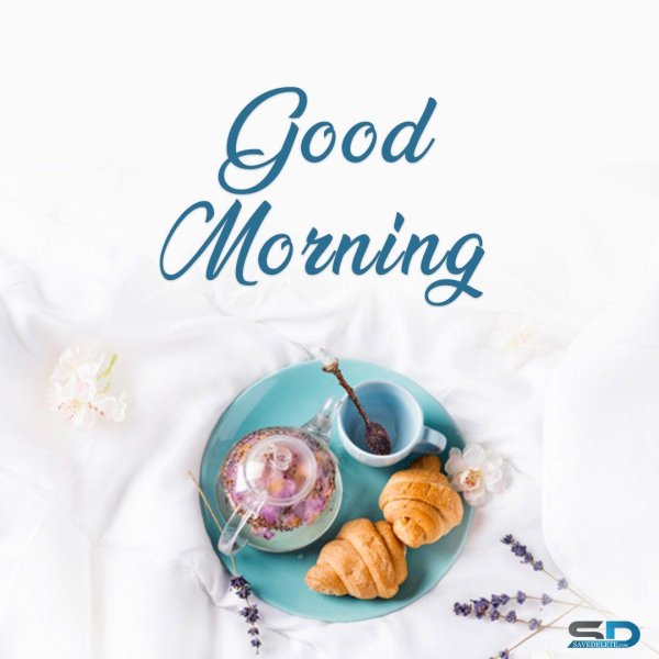 круассан французский