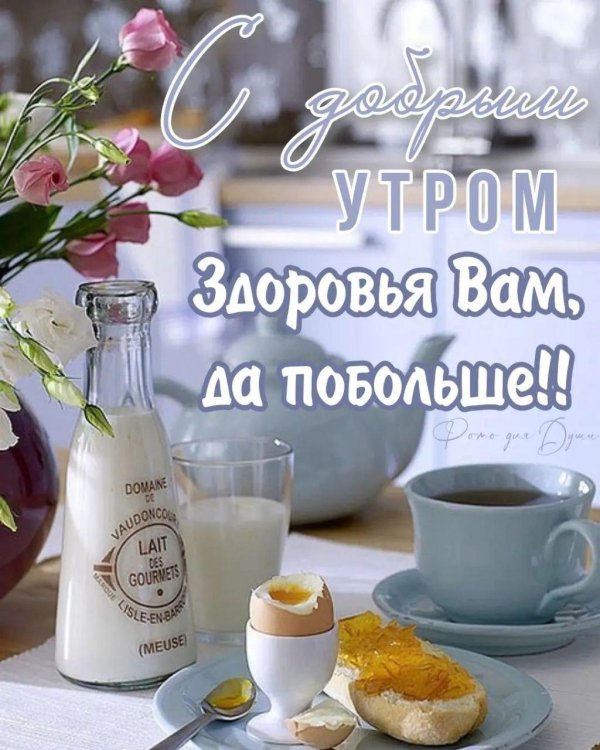 молоко добрый день