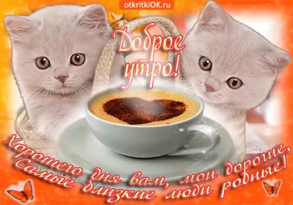 с доброго утра