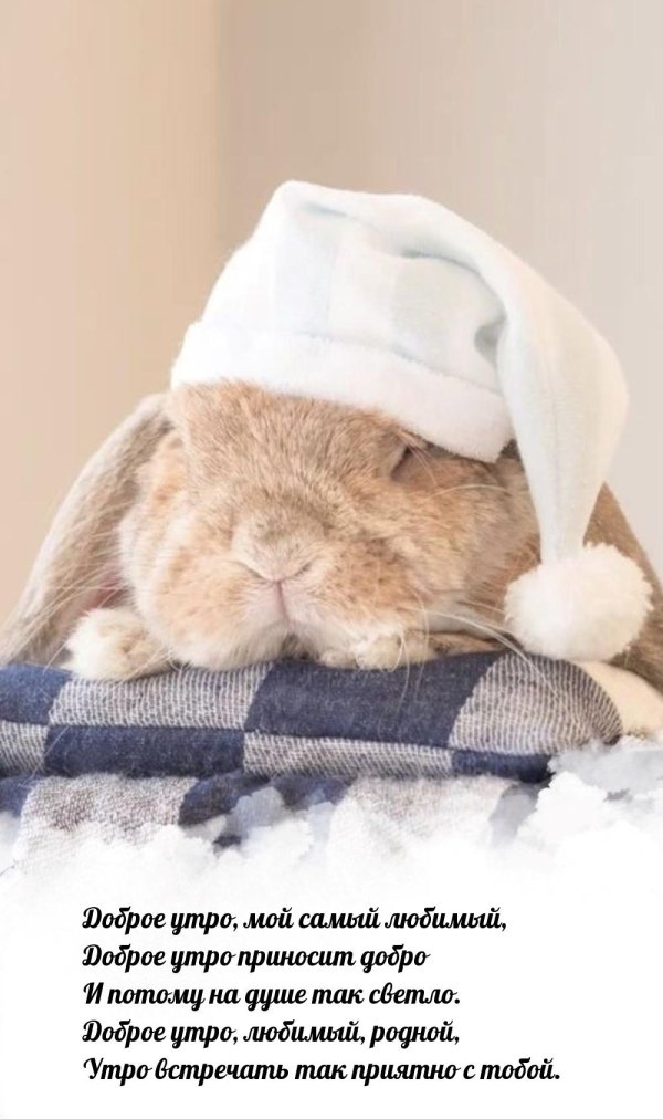 доброе утро любимому