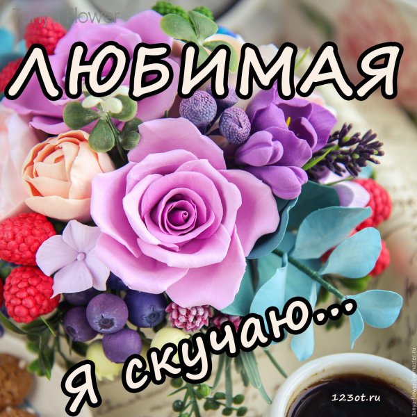 любимая открытка