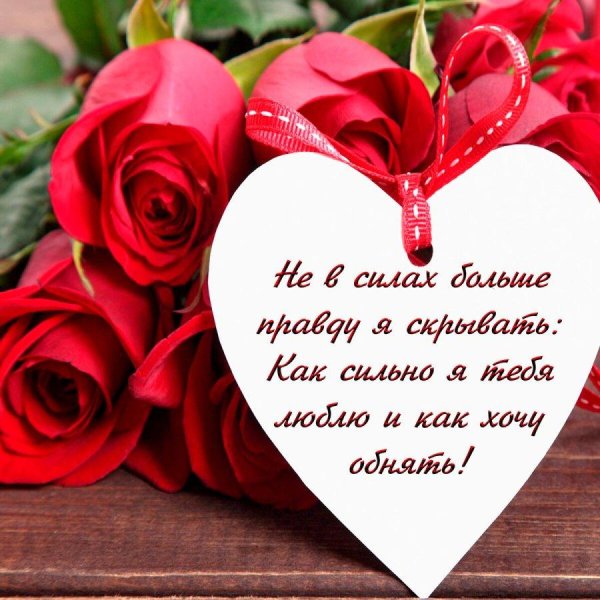 стихи о любви к девушке