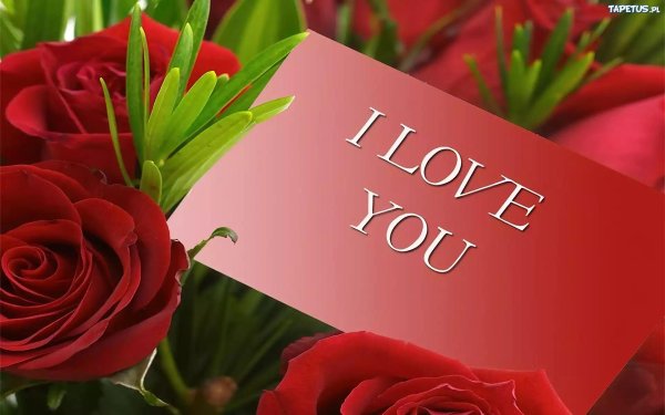 розы поздравление