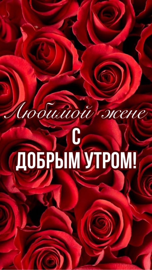 с добрым утром жена