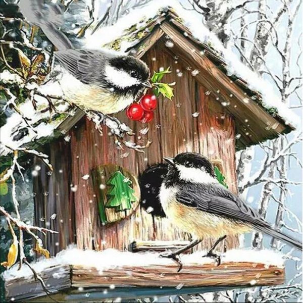 птица зимняя