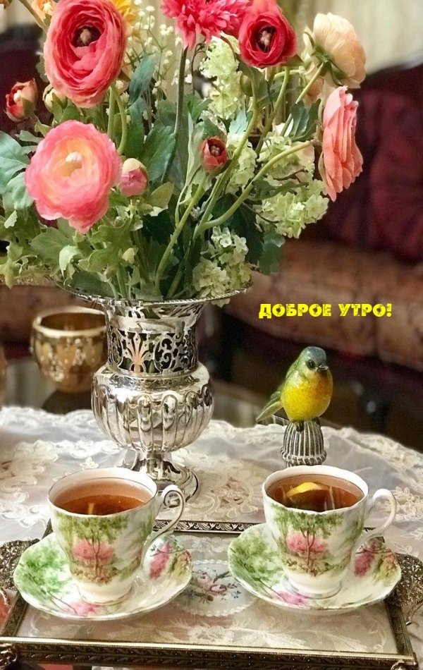 утра доброго