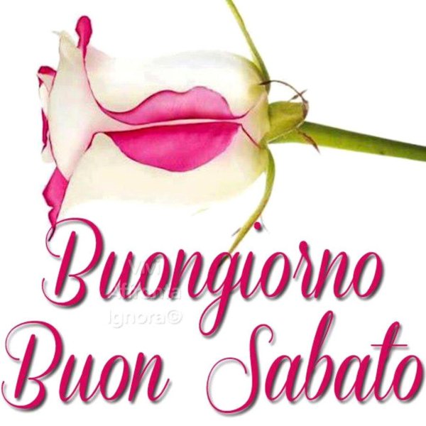 buonanotte buongiorno