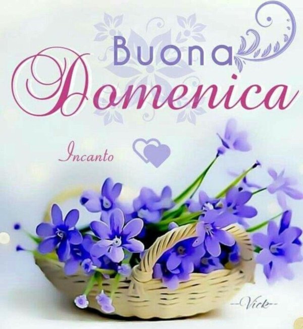 buona giornata