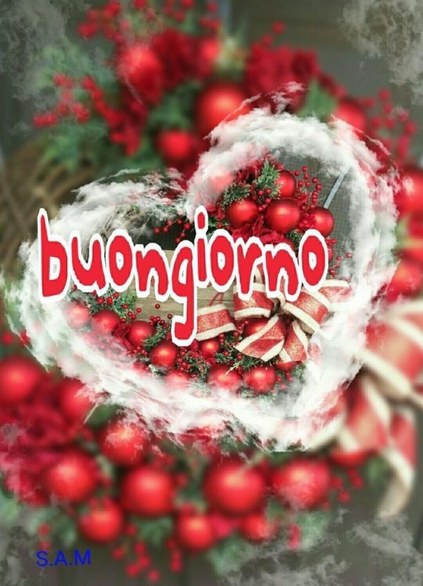 buongiorno зимние