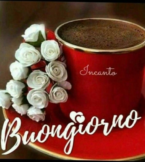 buon giorno
