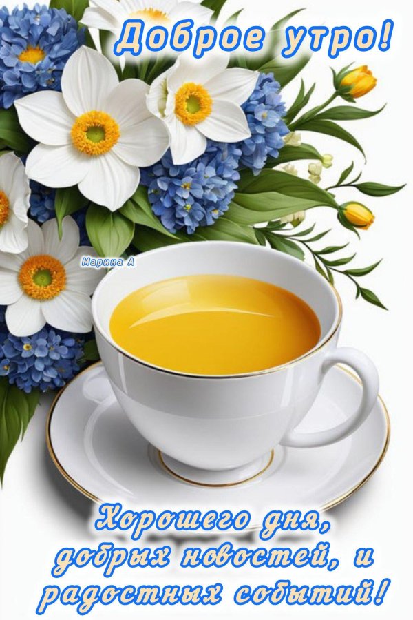 чай ромашка