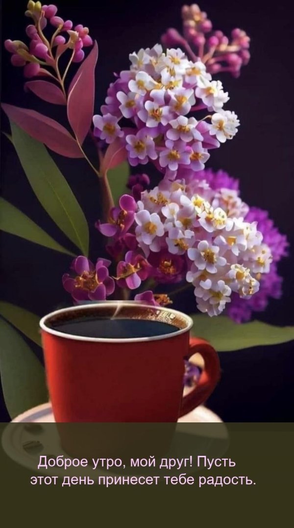 доброго утра нового дня