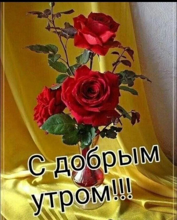 доброе утро лариса