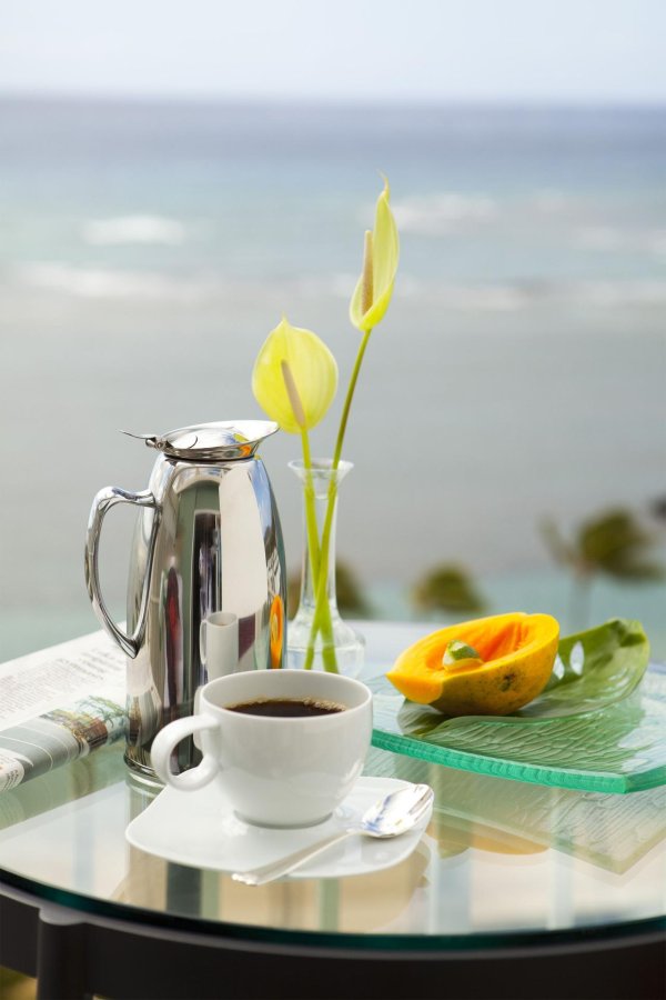 термокувшин emsa eleganza