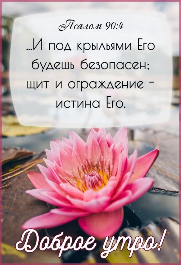 благословенного утра доброе утро