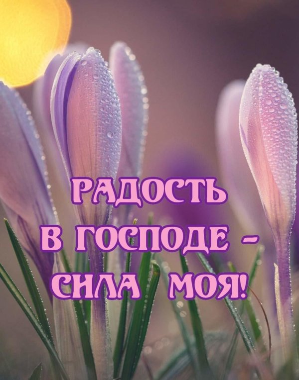 славлю тебя господь