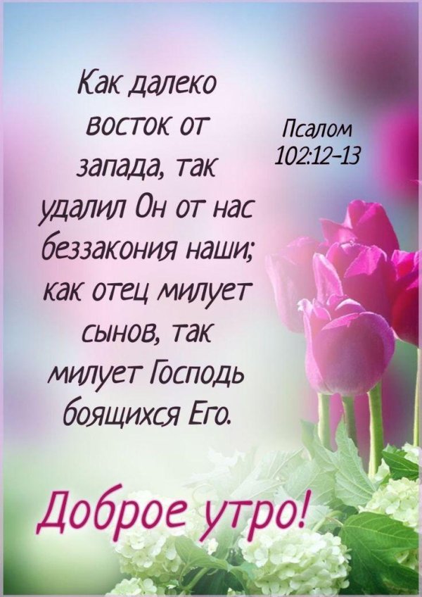 библейские стихи