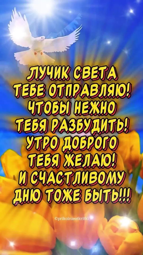 открытки пусть новый день приносит радость