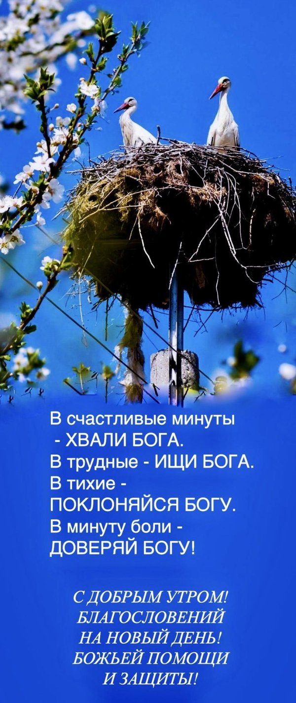 доброе утро благословение