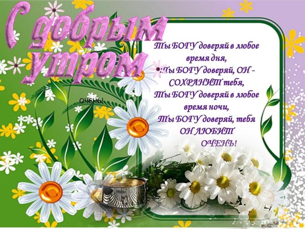 доброго утра ромашки